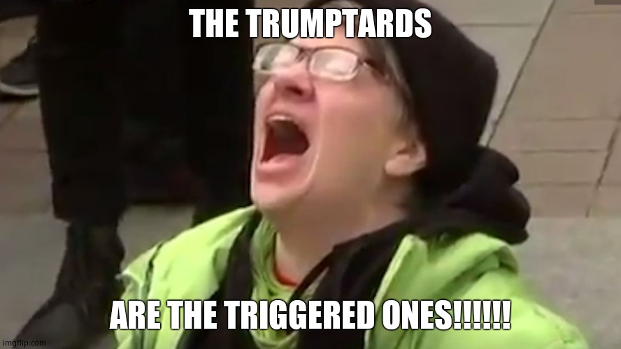 Screaming Liberal  | THE TRUMPTARDS ARE THE TRIGGERED ONES!!!!!! | image tagged in screaming liberal,is that how it works | made w/ Imgflip meme maker