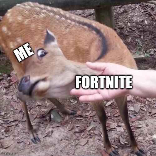 fortnite worst | ME; FORTNITE | image tagged in nope | made w/ Imgflip meme maker
