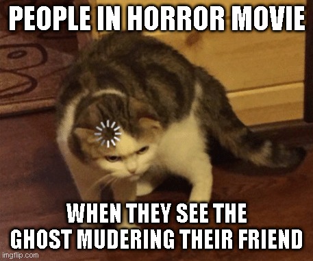 Lag Cat | PEOPLE IN HORROR MOVIE; WHEN THEY SEE THE GHOST MUDERING THEIR FRIEND | image tagged in lag cat | made w/ Imgflip meme maker