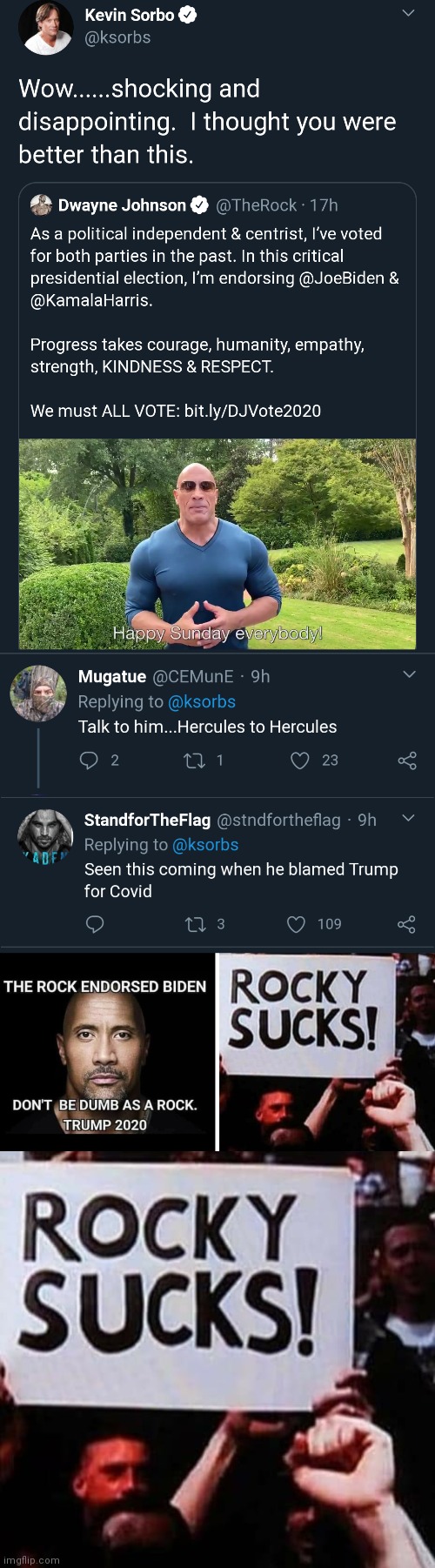 image tagged in the rock sucks | made w/ Imgflip meme maker