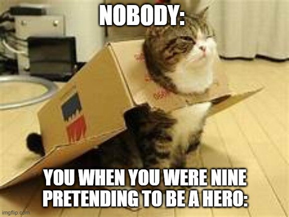 cat | NOBODY:; YOU WHEN YOU WERE NINE PRETENDING TO BE A HERO: | image tagged in confident kitty | made w/ Imgflip meme maker