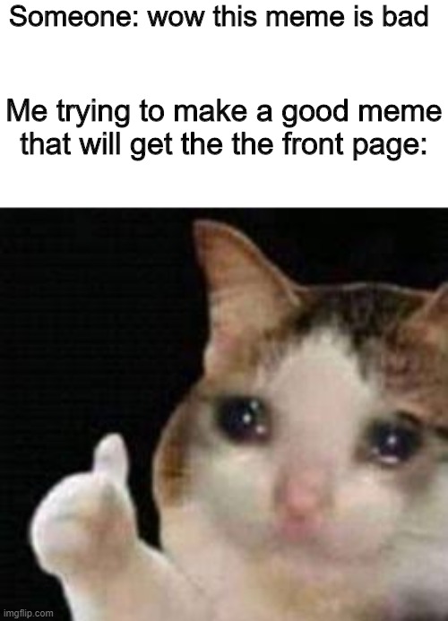 :') wait not the the, i meant TO the | Someone: wow this meme is bad; Me trying to make a good meme that will get the the front page: | image tagged in approved crying cat | made w/ Imgflip meme maker