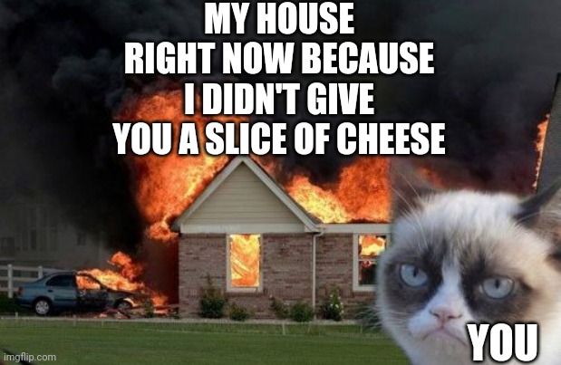 Burn Kitty Meme | MY HOUSE RIGHT NOW BECAUSE I DIDN'T GIVE YOU A SLICE OF CHEESE YOU | image tagged in memes,burn kitty,grumpy cat | made w/ Imgflip meme maker