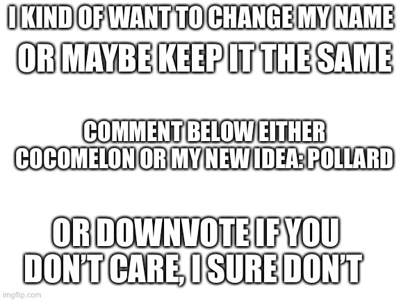 First comment will decide | OR MAYBE KEEP IT THE SAME; I KIND OF WANT TO CHANGE MY NAME; COMMENT BELOW EITHER COCOMELON OR MY NEW IDEA: POLLARD; OR DOWNVOTE IF YOU DON’T CARE, I SURE DON’T | image tagged in blank white template,username | made w/ Imgflip meme maker