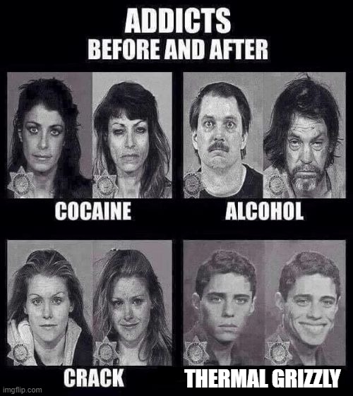 Addicts before and after | THERMAL GRIZZLY | image tagged in addicts before and after | made w/ Imgflip meme maker
