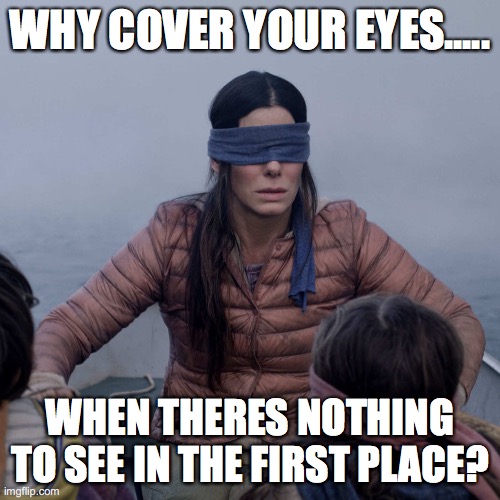 Bird box secret | WHY COVER YOUR EYES..... WHEN THERES NOTHING TO SEE IN THE FIRST PLACE? | image tagged in memes,bird box | made w/ Imgflip meme maker