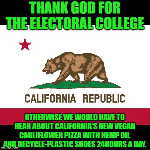 California Flag | THANK GOD FOR THE ELECTORAL COLLEGE; OTHERWISE WE WOULD HAVE TO HEAR ABOUT CALIFORNIA'S NEW VEGAN CAULIFLOWER PIZZA WITH HEMP OIL AND RECYCLE-PLASTIC SHOES 24HOURS A DAY. | image tagged in democrats,communism,2020 elections | made w/ Imgflip meme maker