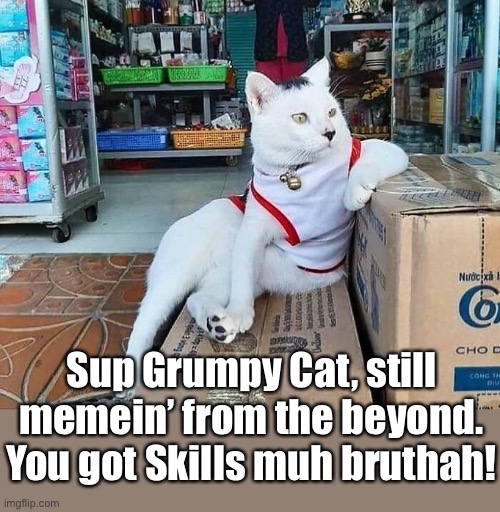 Sup Grumpy Cat, still memein’ from the beyond. You got Skills muh bruthah! | made w/ Imgflip meme maker