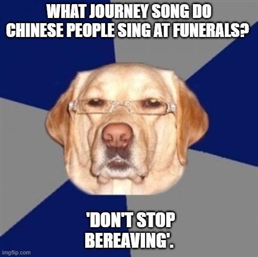 racist dog | WHAT JOURNEY SONG DO CHINESE PEOPLE SING AT FUNERALS? 'DON'T STOP BEREAVING'. | image tagged in racist dog | made w/ Imgflip meme maker