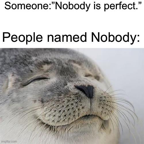 Satisfied Seal | Someone:”Nobody is perfect.”; People named Nobody: | image tagged in memes,satisfied seal,funny,nobody,perfect,stop reading the tags | made w/ Imgflip meme maker