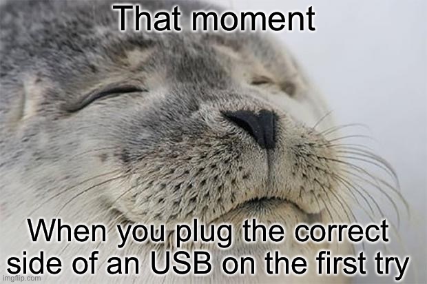 s a t i s f y i n g |  That moment; When you plug the correct side of an USB on the first try | image tagged in memes,satisfied seal,satisfying,usb,funny | made w/ Imgflip meme maker