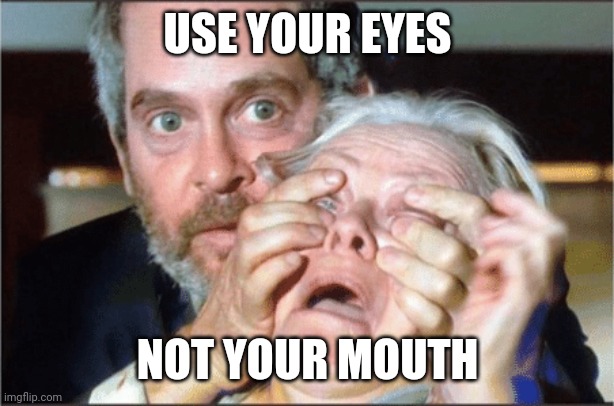 Use your eyes not your mouth | USE YOUR EYES; NOT YOUR MOUTH | image tagged in bird box eyes open | made w/ Imgflip meme maker