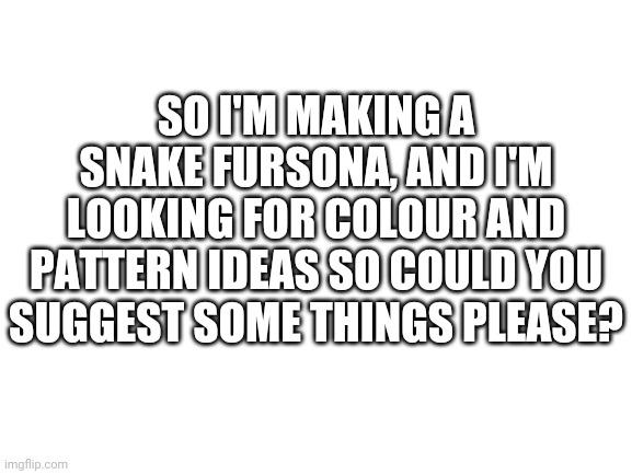 It's a female snek | SO I'M MAKING A SNAKE FURSONA, AND I'M LOOKING FOR COLOUR AND PATTERN IDEAS SO COULD YOU SUGGEST SOME THINGS PLEASE? | image tagged in blank white template | made w/ Imgflip meme maker