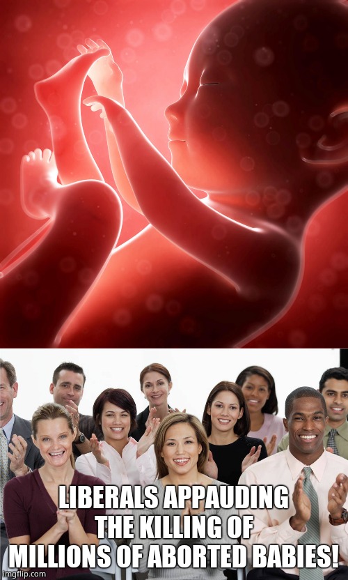 LIBERALS APPAUDING THE KILLING OF MILLIONS OF ABORTED BABIES! | image tagged in baby fetus,applausi | made w/ Imgflip meme maker