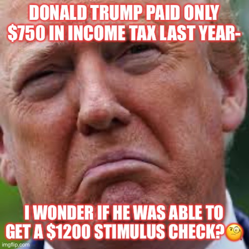 Trump the Clown living on Credit! | DONALD TRUMP PAID ONLY $750 IN INCOME TAX LAST YEAR-; I WONDER IF HE WAS ABLE TO GET A $1200 STIMULUS CHECK?🧐 | image tagged in donald trump,faux billionaire,clown,con man,trump supporters,tax evasion | made w/ Imgflip meme maker