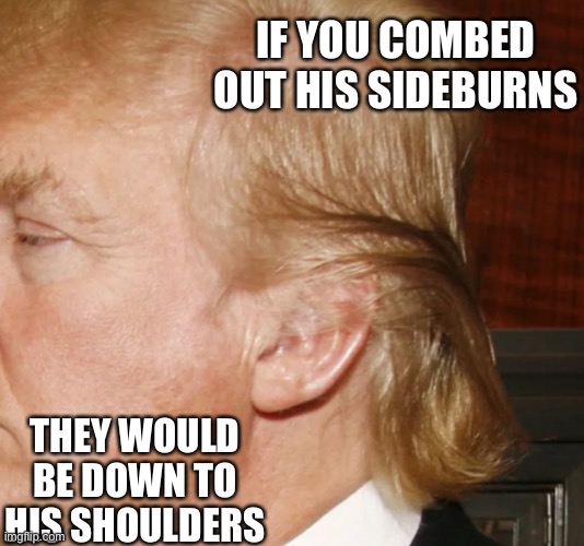 IF YOU COMBED OUT HIS SIDEBURNS THEY WOULD BE DOWN TO HIS SHOULDERS | made w/ Imgflip meme maker