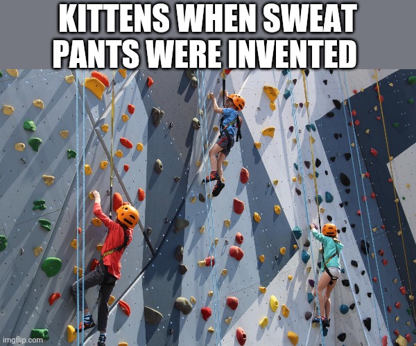 KITTENS WHEN SWEAT PANTS WERE INVENTED | image tagged in funny memes | made w/ Imgflip meme maker