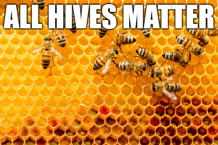 Honey | ALL HIVES MATTER | image tagged in all hives matter | made w/ Imgflip meme maker