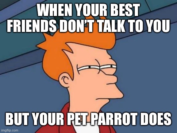 Futurama Fry | WHEN YOUR BEST FRIENDS DON’T TALK TO YOU; BUT YOUR PET PARROT DOES | image tagged in memes,futurama fry | made w/ Imgflip meme maker