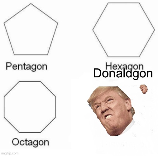 Pentagon Hexagon Octagon Meme | Donaldgon | image tagged in memes,pentagon hexagon octagon | made w/ Imgflip meme maker