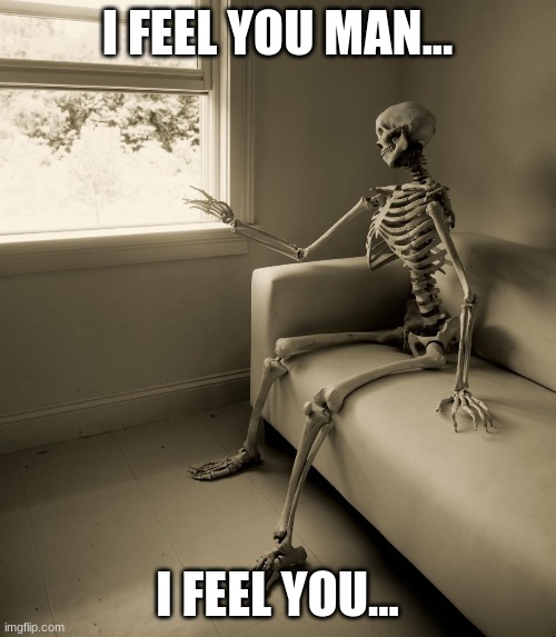 Lonely Skeleton | I FEEL YOU MAN... I FEEL YOU... | image tagged in lonely skeleton | made w/ Imgflip meme maker