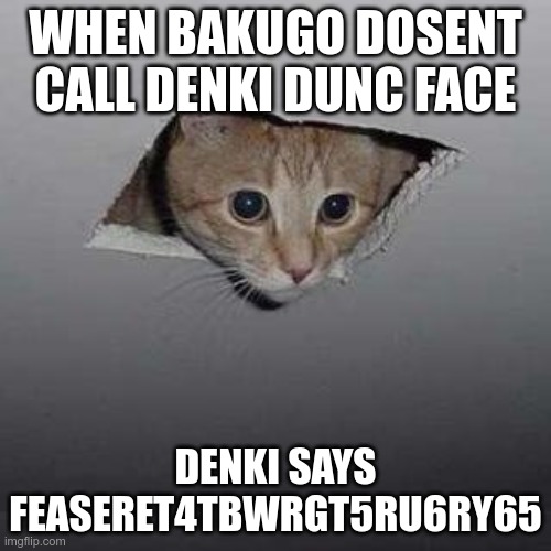 Ceiling Cat | WHEN BAKUGO DOSENT CALL DENKI DUNC FACE; DENKI SAYS FEASERET4TBWRGT5RU6RY65 | image tagged in memes,ceiling cat | made w/ Imgflip meme maker