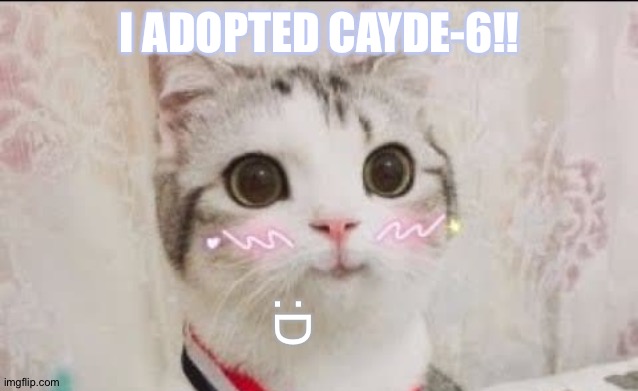 cute cat uwu | I ADOPTED CAYDE-6!! :D | image tagged in cute cat uwu | made w/ Imgflip meme maker