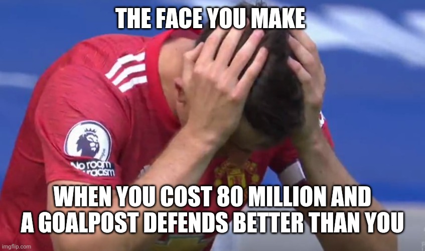 THE FACE YOU MAKE; WHEN YOU COST 80 MILLION AND A GOALPOST DEFENDS BETTER THAN YOU | image tagged in manchester united | made w/ Imgflip meme maker