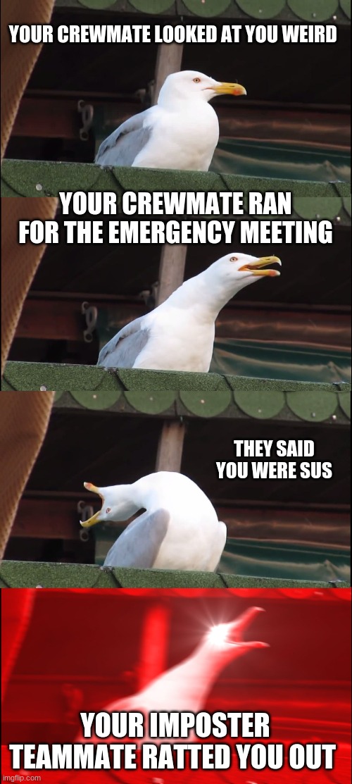 It's happened to the best of us | YOUR CREWMATE LOOKED AT YOU WEIRD; YOUR CREWMATE RAN FOR THE EMERGENCY MEETING; THEY SAID YOU WERE SUS; YOUR IMPOSTER TEAMMATE RATTED YOU OUT | image tagged in memes,inhaling seagull | made w/ Imgflip meme maker