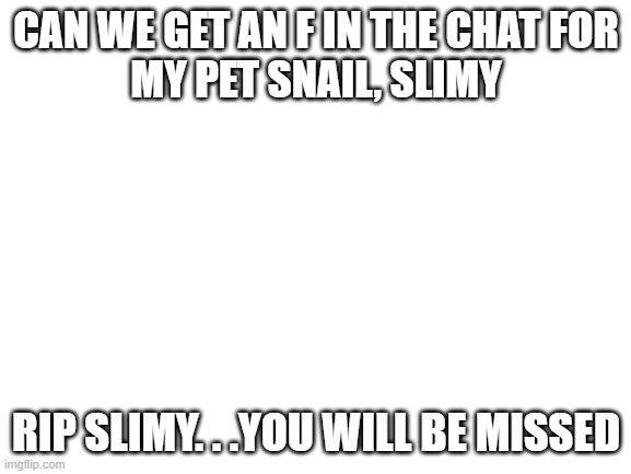 Don't bother upvoting, just comment F. |  CAN WE GET AN F IN THE CHAT FOR
MY PET SNAIL, SLIMY; RIP SLIMY. . .YOU WILL BE MISSED | image tagged in blank white template | made w/ Imgflip meme maker