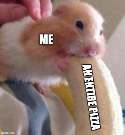 yum | ME; AN ENTIRE PIZZA | image tagged in hamster banana,pizza | made w/ Imgflip meme maker
