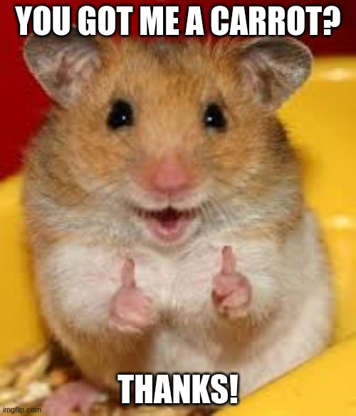 thank you | YOU GOT ME A CARROT? THANKS! | image tagged in thumbs up hamster,carrot | made w/ Imgflip meme maker