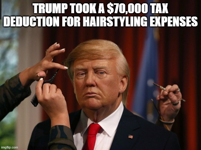 Is it true... blondes have more fun? | TRUMP TOOK A $70,000 TAX DEDUCTION FOR HAIRSTYLING EXPENSES | image tagged in trump hair,corruption,tax fraud,dump trump,justgirlythings,trump is a moron | made w/ Imgflip meme maker