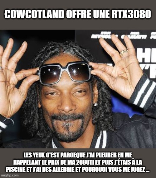 Snoop dogg likes | COWCOTLAND OFFRE UNE RTX3080; LES YEUX C'EST PARCEQUE J'AI PLEURER EN ME RAPPELANT LE PRIX DE MA 2080TI ET PUIS J'ÉTAIS À LA PISCINE ET J'AI DES ALLERGIE ET POURQUOI VOUS ME JUGEZ ... | image tagged in snoop dogg likes | made w/ Imgflip meme maker