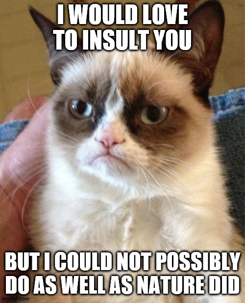 I wojuld live to insult you | I WOULD LOVE TO INSULT YOU; BUT I COULD NOT POSSIBLY DO AS WELL AS NATURE DID | image tagged in memes,grumpy cat | made w/ Imgflip meme maker