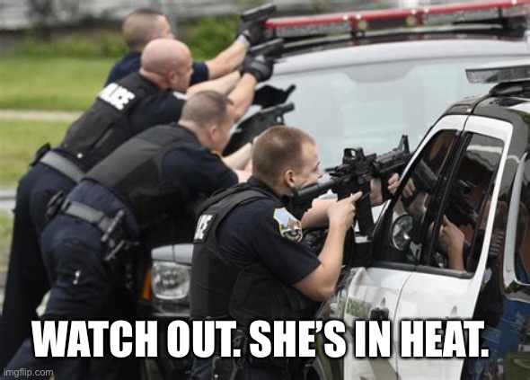 Police fight jaywalking | WATCH OUT. SHE’S IN HEAT. | image tagged in police fight jaywalking | made w/ Imgflip meme maker