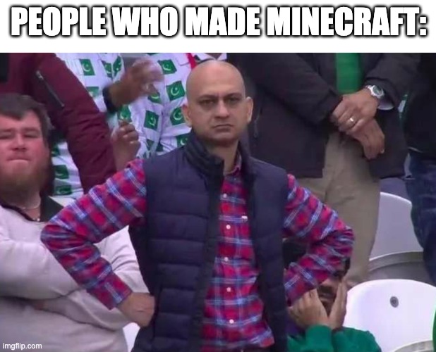PEOPLE WHO MADE MINECRAFT: | image tagged in unimpressed man | made w/ Imgflip meme maker