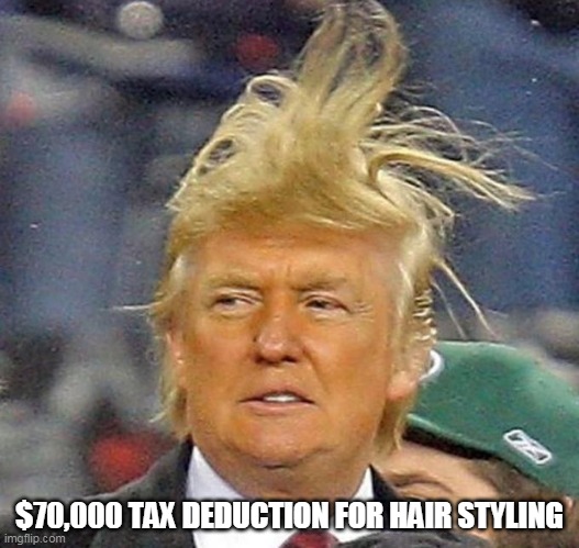 trump hair 2 | $70,000 TAX DEDUCTION FOR HAIR STYLING | image tagged in trump hair 2 | made w/ Imgflip meme maker