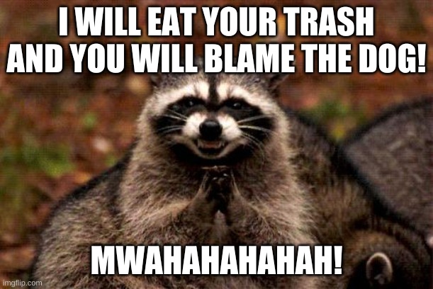 Evil Plotting Raccoon | I WILL EAT YOUR TRASH AND YOU WILL BLAME THE DOG! MWAHAHAHAHAH! | image tagged in memes,evil plotting raccoon | made w/ Imgflip meme maker