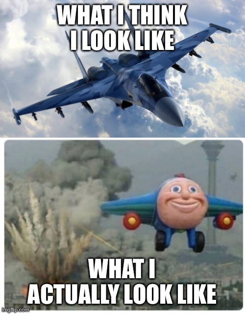 Jet pilot | WHAT I THINK I LOOK LIKE; WHAT I ACTUALLY LOOK LIKE | image tagged in fighter jet,disaster plane | made w/ Imgflip meme maker