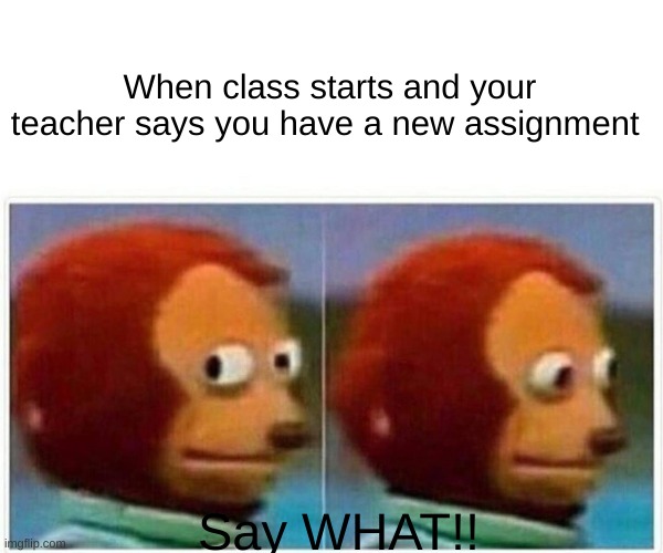 So True | When class starts and your teacher says you have a new assignment; Say WHAT!! | image tagged in memes,monkey puppet | made w/ Imgflip meme maker
