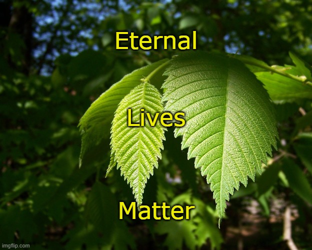 Eternal; Lives; Matter | image tagged in eternity | made w/ Imgflip meme maker