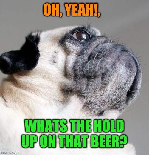 OH, YEAH!, WHATS THE HOLD UP ON THAT BEER? | made w/ Imgflip meme maker