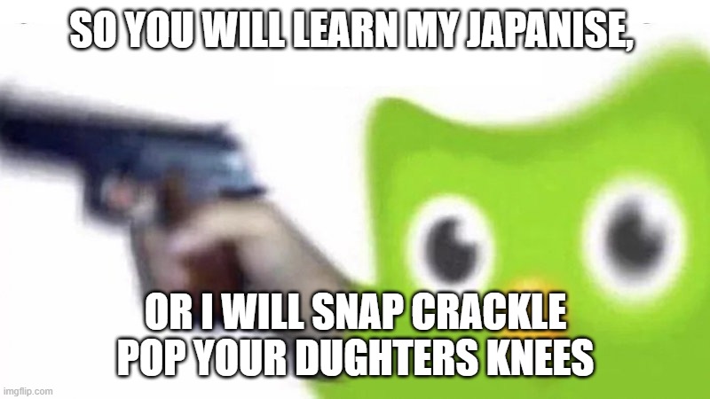 SO YOU WILL LEARN MY JAPANISE, OR I WILL SNAP CRACKLE POP YOUR DUGHTERS KNEES | image tagged in duolingo gun | made w/ Imgflip meme maker