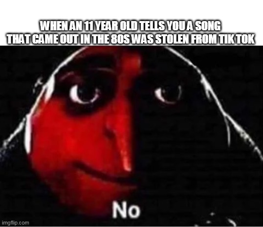 Gru No | WHEN AN 11 YEAR OLD TELLS YOU A SONG THAT CAME OUT IN THE 80S WAS STOLEN FROM TIK TOK | image tagged in gru no | made w/ Imgflip meme maker