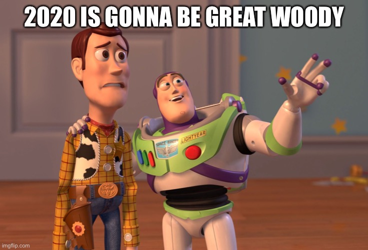 2020 | 2020 IS GONNA BE GREAT WOODY | image tagged in memes,x x everywhere | made w/ Imgflip meme maker