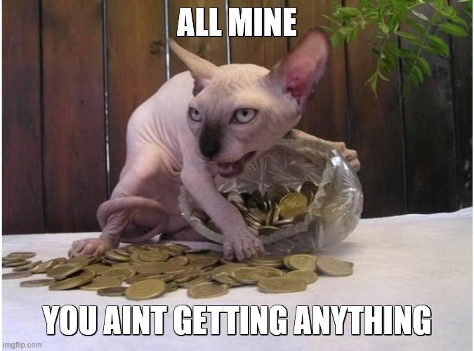 Hairless cat hoarding precious coins | ALL MINE YOU AINT GETTING ANYTHING | image tagged in hairless cat hoarding precious coins | made w/ Imgflip meme maker