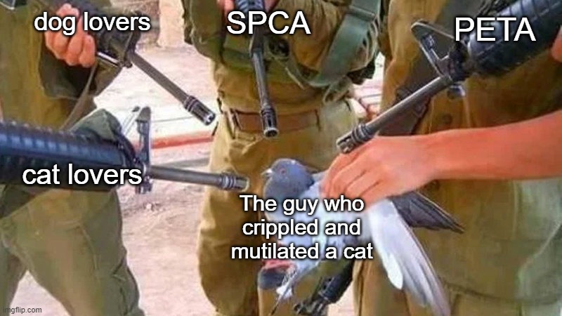pigeon surrounded by guns | dog lovers; SPCA; PETA; cat lovers; The guy who crippled and mutilated a cat | image tagged in pigeon surrounded by guns,memes | made w/ Imgflip meme maker