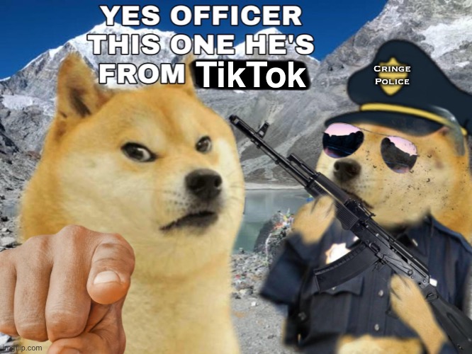 Cringe Police; TikTok | image tagged in doge,tik tok,tiktok,cringe,cringe police | made w/ Imgflip meme maker