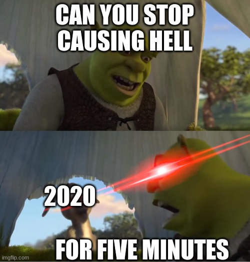 Shrek For Five Minutes | CAN YOU STOP CAUSING HELL FOR FIVE MINUTES 2020 | image tagged in shrek for five minutes | made w/ Imgflip meme maker